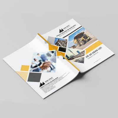 In profile, hồ sơ năng lực